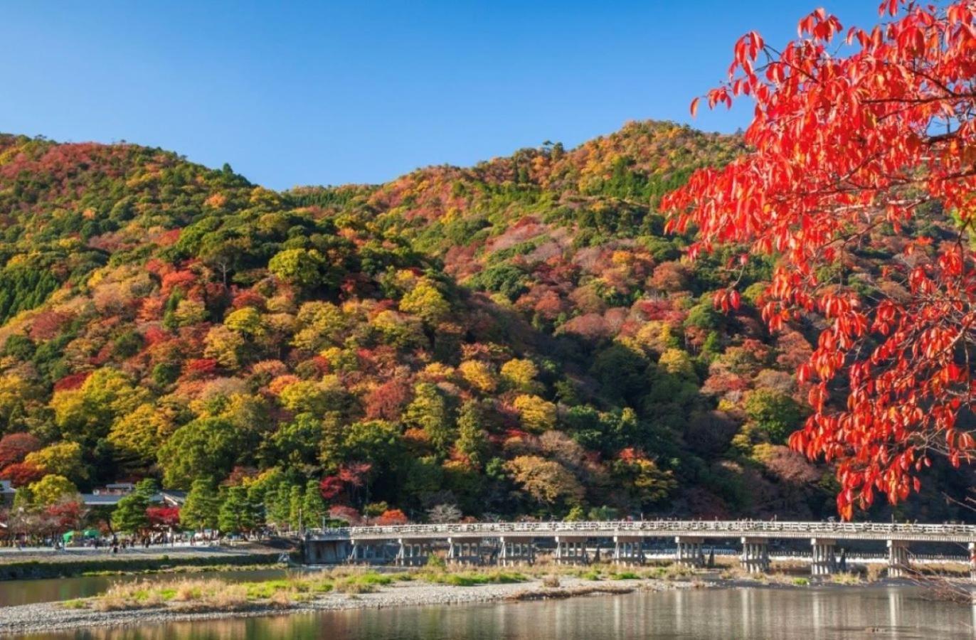 公寓 1102黒門市場1分!道頓堀まで徒歩8分!心斎橋まで徒歩9分!関西空港とusj直行電車バスあり *