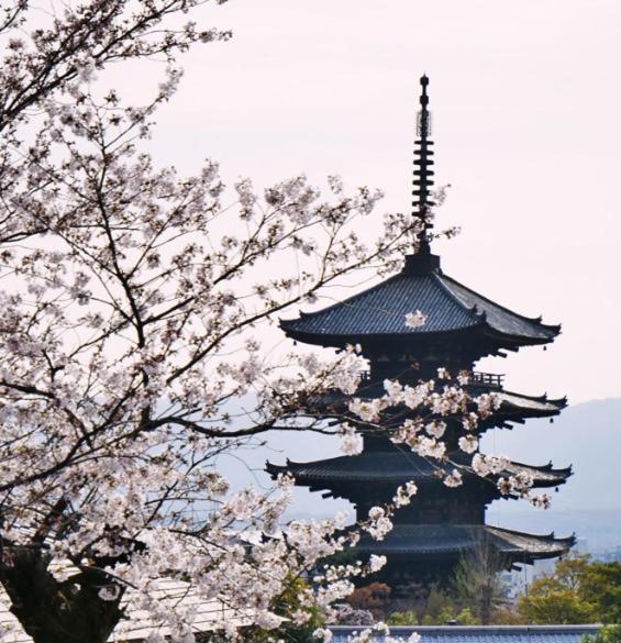 1102黒門市場1分!道頓堀まで徒歩8分!心斎橋まで徒歩9分!関西空港とusj直行電車バスあり 公寓 *